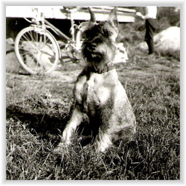 Bert�k